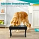 Adjustable-Elevated-Pet-Feeding-Station-12.webp