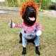 Adjustable-For-Christmas-Funny-Dog-Clothes-10-2.webp