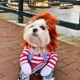 Adjustable-For-Christmas-Funny-Dog-Clothes-3-2.webp