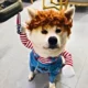 Adjustable-For-Christmas-Funny-Dog-Clothes-5-2.webp