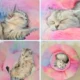 Anti-Anxiety-Round-Donut-Pet-Bed-7.webp