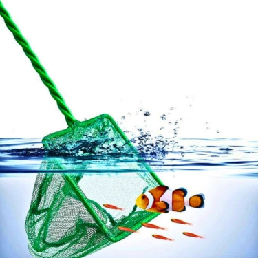 Aquarium-Fishing-Net-with-Plastic-Handle-1.webp