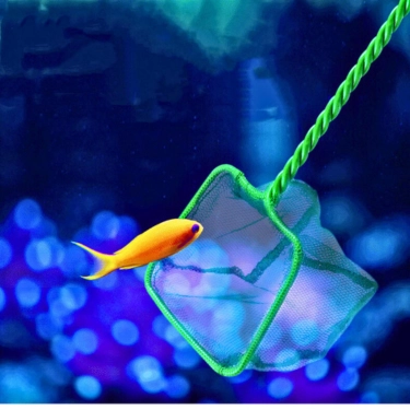 Aquarium-Fishing-Net-with-Plastic-Handle-10.webp