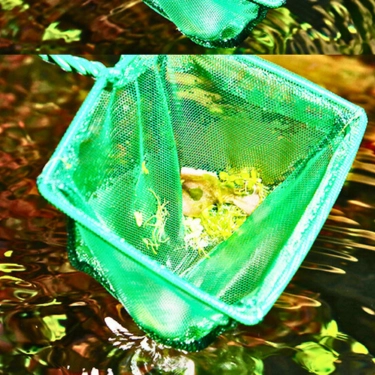 Aquarium-Fishing-Net-with-Plastic-Handle-11.webp