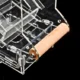 Automatic-Birds-Food-Feeder-4-1.webp