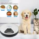 Automatic-Electronic-Timed-Pet-Feeder-10.webp
