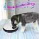 Automatic-Electronic-Timed-Pet-Feeder-9.webp