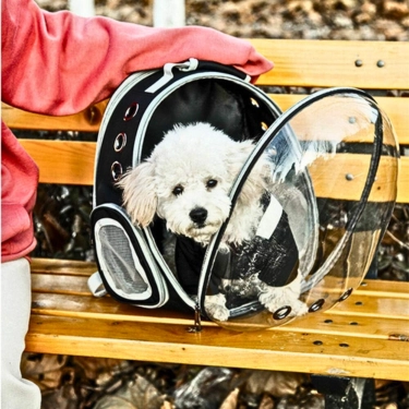 Breathable-Transparent-Cat-Carrier-Shoulder-Bag-6.webp