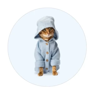 Cat Clothes
