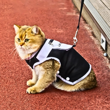 Cat-Harness-Chest-Strap-with-Leash-1.webp