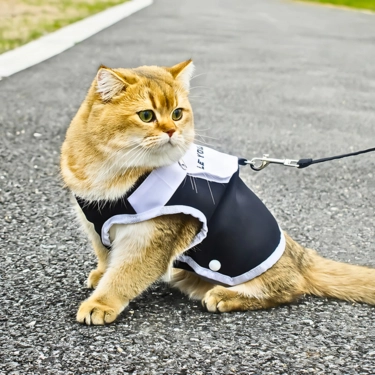 Cat-Harness-Chest-Strap-with-Leash-6.webp