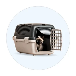 Cats Carriers