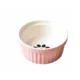 Ceramic-Elevated-Cat-Bowl-with-Metal-Stand-25.webp