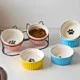 Ceramic-Elevated-Cat-Bowl-with-Metal-Stand-31.webp