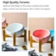 Ceramic-Tilted-Elevated-Raised-Pet-Bowl-6.webp