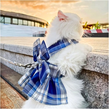 Comfortable-Cat-Harness-and-Adjustable-Leash-6.webp