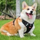 Comfortable-Dog-Harness-No-Pull-Reflective-and-Soft-16.webp