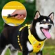 Comfortable-Dog-Harness-No-Pull-Reflective-and-Soft-17.webp
