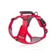 Comfortable-Dog-Harness-No-Pull-Reflective-and-Soft-20.webp