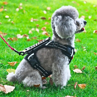 Comfortable-Dog-Harness-No-Pull-Reflective-and-Soft-27.webp