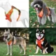 Comfortable-Dog-Harness-No-Pull-Reflective-and-Soft-30.webp
