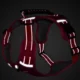Comfortable-Dog-Harness-No-Pull-Reflective-and-Soft-4.webp
