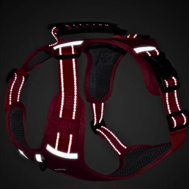 Comfortable-Dog-Harness-No-Pull-Reflective-and-Soft-4.webp