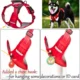 Comfortable-Dog-Harness-No-Pull-Reflective-and-Soft-6.webp