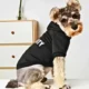Comfortable-Winter-Warm-Dog-Clothes-2-2.webp