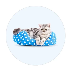 Cute Cat Beds