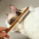 Dense-Needles-Cat-Hair-Removal-Comb-Grooming-Tool-7
