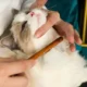 Dense-Needles-Cat-Hair-Removal-Comb-Grooming-Tool-8
