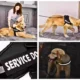Dog-Adjustable-Reflective-Harness-30.webp