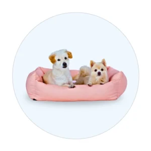 Dog Bed