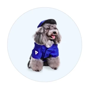 Dog Clothing