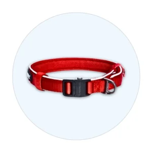 Dog Collar