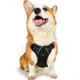 Dog-Harness-and-Leash-for-Walking-20.webp