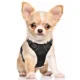 Dog-Harness-and-Leash-for-Walking-3.webp