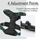 Dog-Harness-and-Leash-for-Walking-5.webp