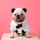 Dog-Hoodie-Panda-Decor-Flannel-Puppy-Clothes-2.webp