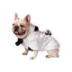 Dog-Hoodie-Panda-Decor-Flannel-Puppy-Clothes-5.webp