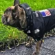 Dog-Lightweight-Rain-Jacket-Waterproof-17.webp