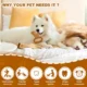 Dog-Toy-for-Training-and-Cleaning-1.webp