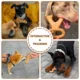 Dog Toy for Training and Cleaning (2)