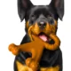 Dog Toy for Training and Cleaning (4)