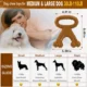 Dog Toy for Training and Cleaning (6)
