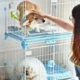 Double-Door-Design-Pet-Cage-5.webp