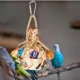 Durable-Bite-resistance-Birds-Ball-Toy-2.webp