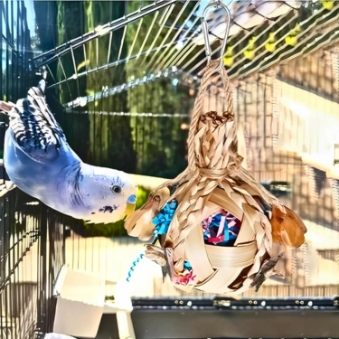 Durable-Bite-resistance-Birds-Ball-Toy-3.webp
