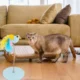 Fish-shaped-Cat-Jumping-Catch-Toy-3.webp